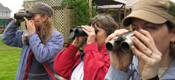 birders with binoculars